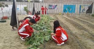 Resultado de imagen para importancia de un biohuerto