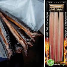Pdf European Eels Dutch Fisheries Culture And Eel Migration