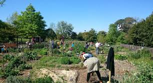 Jardiner Collectif Bordeaux Metropole