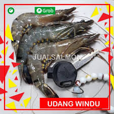 Udang jenis ini termasuk komoditas unggulan yang banyak dipilih untuk dibudidayakan. Jual Udang Windu 1 Kg Size 30 Udang Pancet Besar Udang Segar Jakarta Utara Jual Salmon Segar Tokopedia