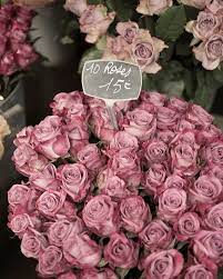 Paris Roses Photography Faded Roses At A Paris Market French Home Decor Large Wall Art P A R I S Blumen Think Endless