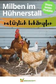 Milben Im Huhnerstall Naturlich Bekampfen Unsere Besten Produkte In 2020 Milben Huhner Huhner Witze Huhner