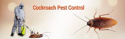 Our main base office locations are: Services Cockroaches Pest Control Services From Pune Maharashtra India By Terminate Pest Control Id 3120325