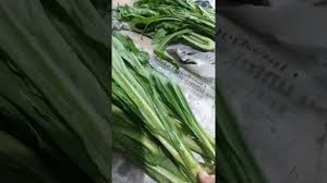 Check spelling or type a new query. Beda Siomak Dan Fumak Youtube