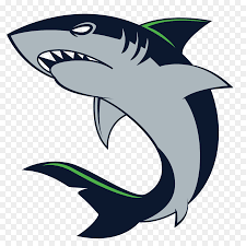 Drawing a great white shark is actually fairly easy. Great White Shark Background