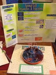 Check spelling or type a new query. This 3 D Animal Cell Model Was Made Using Casting Resin It S Dye To Simulate The Cytoplasm Tiny Black Beads Sil Cells Project Cell Model Animal Cell Project