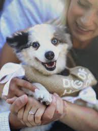 Chandler White and Kyle Bledsoe's Wedding Website