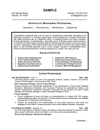 Resume Examples Templates: Best Examples of Professional Resume ...