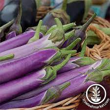 How To Grow And Care For Eggplant Gardener S Path Eggplant Eggplant Garden Eggplant Seeds