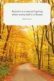 57 Famous Quotes About Life Short Inspirational Sayings