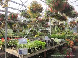 Jul 12, 2021 · the saskatoon forestry farm park & zoo is working to complete a number of facility improvements including: More Than Saskatoons At The Saskatoon Farm Destinations Detours And Dreams