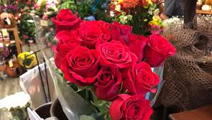 We did not find results for: It S Not Too Late For Valentine S Flowers But It Will Cost You