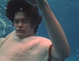 Image result for The Monkees - Porpoise Song