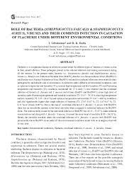 (rediff, we, us, or our, rediff.com) and. Pdf Role Of Bacteria Streptococcus Faecalis Staphylococcus Aureus Viruses And Their Combined Infection In Causation Of Flacherie Under Different Environmental Conditions Selvakumar Thangasamy Academia Edu