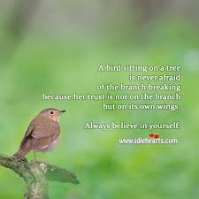 Believe faith hope quote self simplereminders srn trust. A Bird Sitting On A Tree Is Never Afraid Of The Branch Breaking Idlehearts