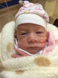 NICU Life: Week 7 & 8