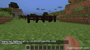 Use /tpn , which is an alias for the original minecraft /tp command. How To Use The Tp Command In Minecraft