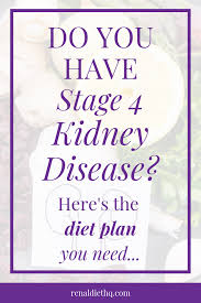 Stage 4 Kidney Failure Diet Renal Diet Menu Headquarters In 2020 Kidney Failure Diet Kidney Disease Diet Recipes Renal Failure Diet