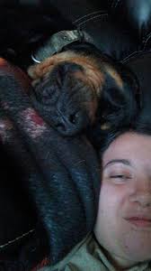 Looking for pups in Warren, Ohio area?