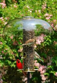 Bird Feeder Protection From Squirrels Super Tube Top Backyard Birds Feeders Bird Feeders Backyard Birds