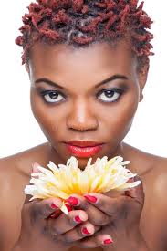 396 Black Ebony Flower Stock Photos