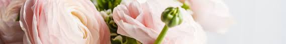 We did not find results for: Dutch Flower Export Florca