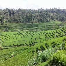 Hasil gambar untuk foto foto pemandangan indah di Girimarto