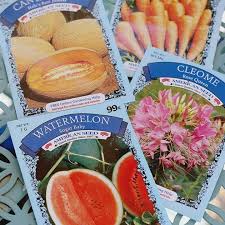 Check spelling or type a new query. Dollar Tree Seed Starters
