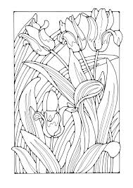 Tulip coloring pages for adults. Coloring Pages Tulips Coloring Pages For Adults