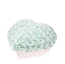 We did not find results for: Lime Green Roses That Last A Year Love Heart Rose Box