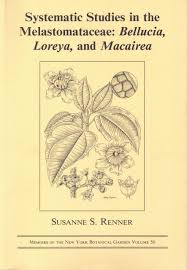 Image result for Bellucia