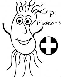 Click here to download the spirit riding free abigail coloring page, so your kids can have some uplifting fun. Team Usafa Poster 2020 Igem Org