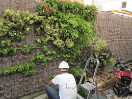 En Detalle Jardin Vertical En Clinica Usp Sagrado Corazon Sevilla Terapia Urbana Jardines Verticales Proyectos De Jardin Jardines