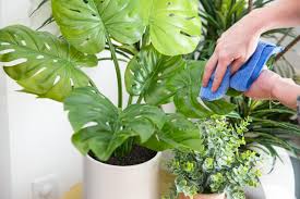Shop the best selection for uv protected and water resistant fake outdoor plants at afloral.com. How To Make Faux Plants Look Real Hgtv