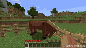 I think you can check it by the amount of extra hearts the horse haves. How To Feed A Horse In Minecraft