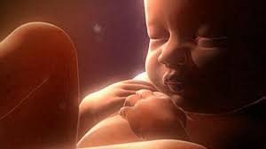 Bagaimana tahapan dan milestone bayi usia 7. Perkembangan Janin Usia 7 Bulan Rugi Besar Kalau Gak Baca Tribun Jabar