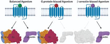 Full agonist
