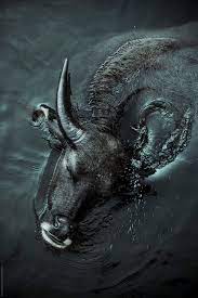 Water Buffalo Cooling Off In A River By Soren Egeberg Asia Rural Buffalo Animal Water Buffalo Animals