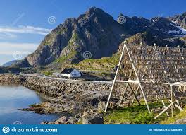 Φοβερό ξεκίνημα για την εθνική. Xwrio Henningsvaer Nhsoi Lofoten Norbhgia Polyxrwmo Ktirio Ths Norbhgias Stok Eikona Eikona Apo 165404873