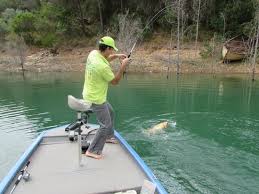 More images for barragem de santa clara » Bass Catch In Santa Clara Saboia Aktuelle 2021 Lohnt Es Sich Mit Fotos