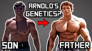 Arnold schwarzenegger's workout routine known as golden six is a 3 day beginner bodybuilding routine that can be run indefinitely. Arnold Schwarzenegger S Son Is Building His Physique Arnold S Genetics Youtube