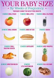 Click to guess baby #2 due date, time, weight, 1st letter of name? By 24 Weeks A Baby Weighs Mount St John S Medical Centre ÙÛØ³Ø¨ÙˆÚ©