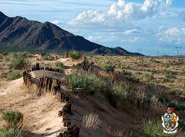 Pin On Tips Ciudad Juarez