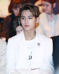 Most Handsome K Pop Male Idols Seventeen Mingyu Kim Woojin Matthew Kim Kpop K Pop Music K Pop Boy Groups Best K Pop Boy Band K Pop Music Handsome