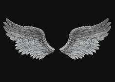 Wings Printable 5 3d Print Model Wings Wallpaper Angel Wings Art Wings Drawing