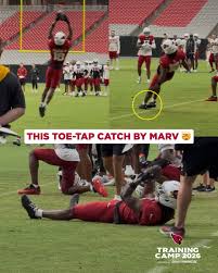 Arizona Cardinals (@azcardinals) · Tempe, AZ - Instagram
