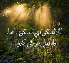 صور كبرياء عبارات عن الكبرياء مكتوبة علي صور معبرة Pics Image Motivation
