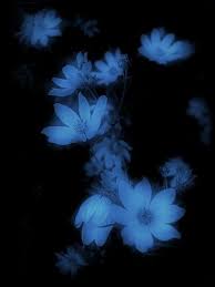 Only the best hd background pictures. Dark Blue Flowers Blue Flowers Background Dark Blue Flowers Navy Wallpaper
