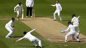 Image result for cricket