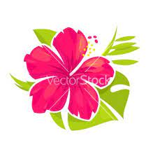 Hibiscus Flower Blossom Vector Art Download Stem Vectors 4226249 Hibiscus Flowers Blossom Flower Vector Flowers